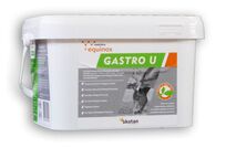 Equinox Gastro U Horse Supplement